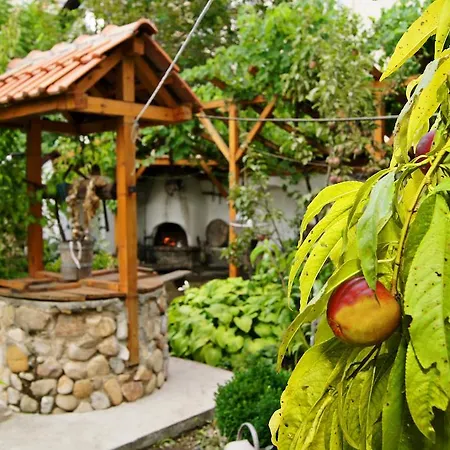 Guest House De Charme Pri Baba Lili
