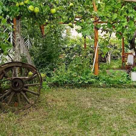 Gæstehus Guest House De Charme Pri Baba Lili Kjustendil